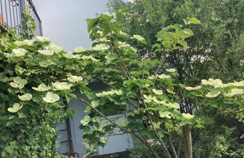 Im Grünen Bereich - Foto 12