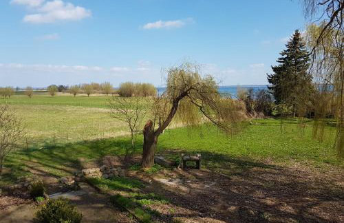 Haus Müritz, FeWo 17 Hecht - Foto 7