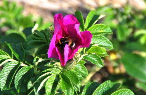 Apartment Landskron by Interhome - Foto 31