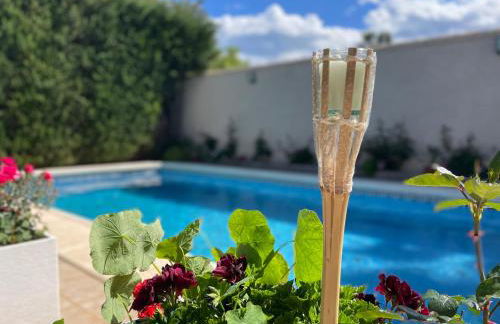 PARADISE GARDEN - Photo 32