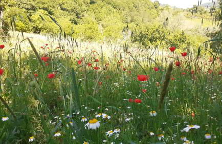 Agriturismo Marcofrate, a Retreat in the Nature - Foto 37