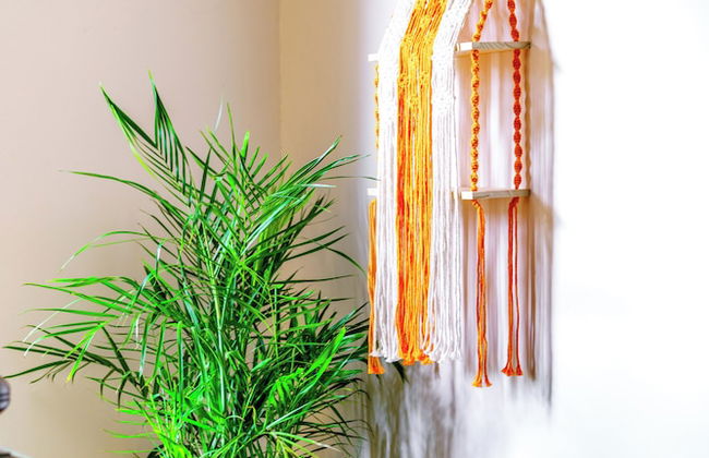 Jungle House Luxury Stays - Downtown Chillicothe - Foto 31