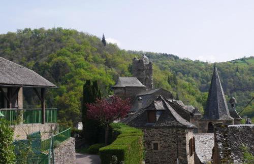 Village 17 gites, Piscine, Restaurant , 2 gites avec SPA, 4km de Conques - Photo 28