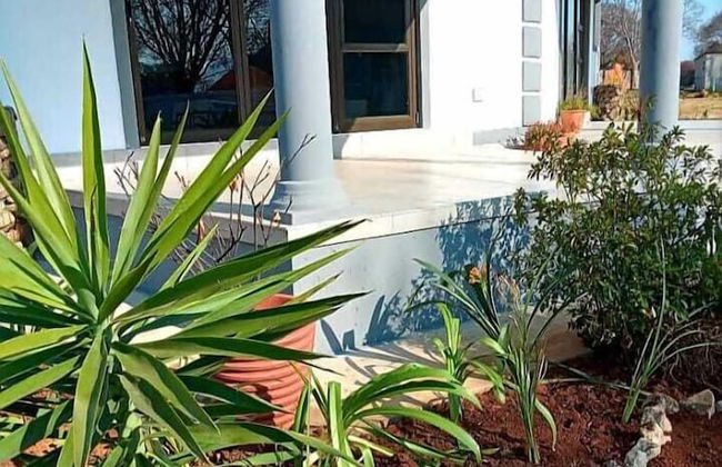 Bikos Villa - Foto 20