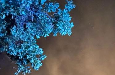 Villa Maria - Foto 20