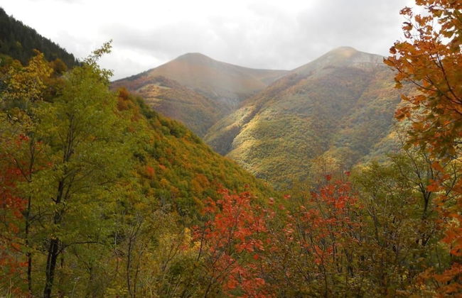 Agriturismo Monti Sibillini Camperato - Photo 29