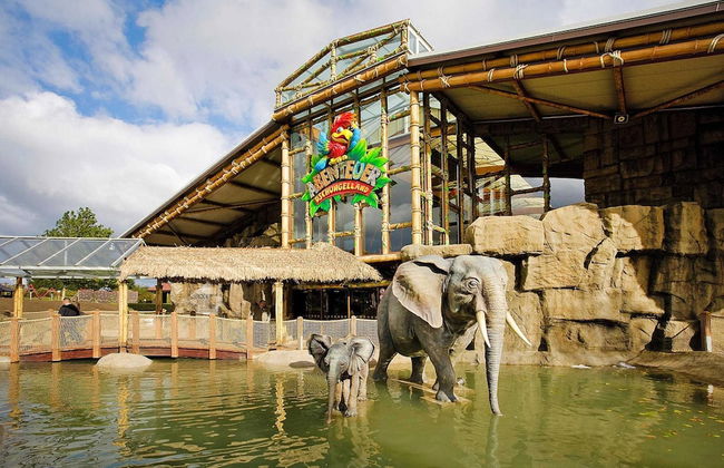 Semi-detached Houses in the Weissenhauser Strand Holiday and Amusement Park - Foto 63