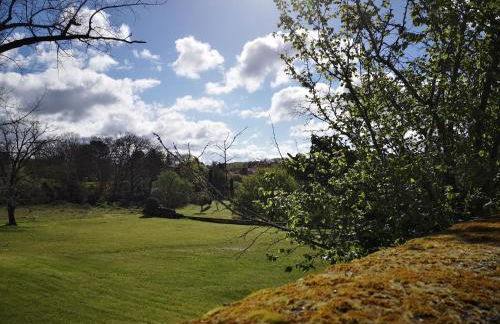 Le petit cocon de la poste - Photo 13