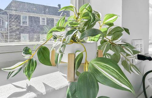 Harbor Haven, Apt #1 Studio - Foto 28