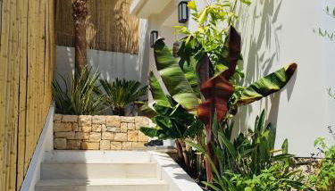 Villa Mirano - Foto 2