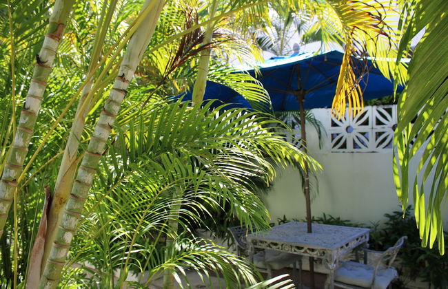 Numero Uno Beach Apartments - Foto 67