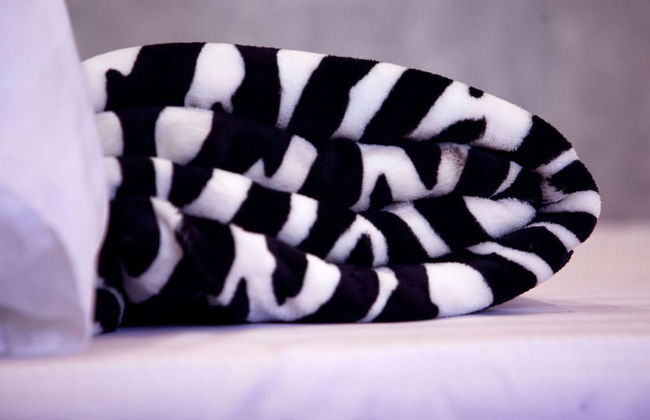 Stusky Lark Mini Hotel Seeta - Photo 12