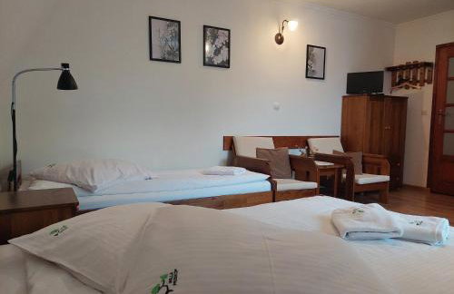 Willa Przekop - Foto 23