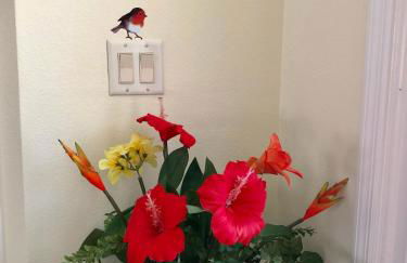 Robin's Nest - Photo 8