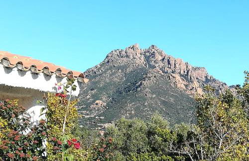 villa Dammar - Foto 6