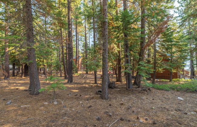 Huckleberry Haus - Foto 31