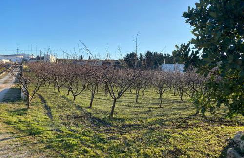 Trullo della Selva - Foto 21
