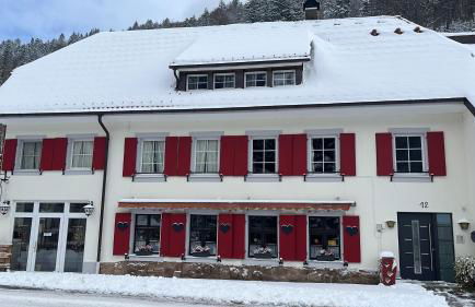 Sky view, Forest Apartments Menzenschwand - Foto 14