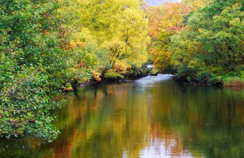 4 Ty Person - Photo 27