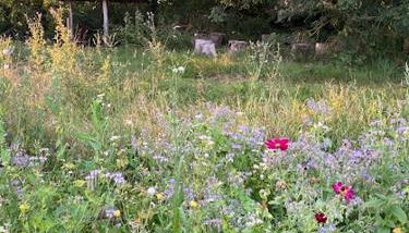 Gîtes à la ferme idéal en couple, famille ou amis - Foto 4