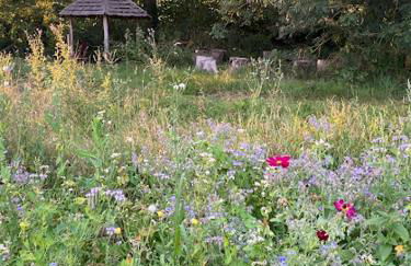 Gîtes à la ferme idéal en couple, famille ou amis - Foto 4