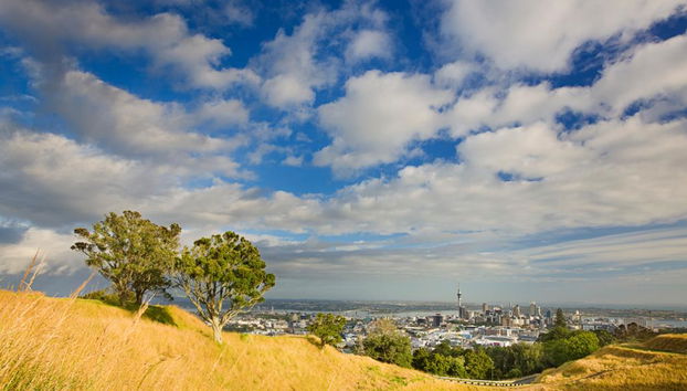 Auckland con traslado al aeropuerto - Tour privado - Foto 4
