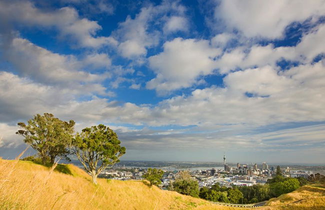 Auckland con traslado al aeropuerto - Tour privado - Foto 4
