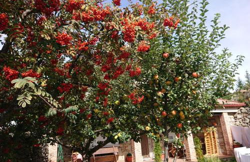 Ermita de Gredos - Foto 50