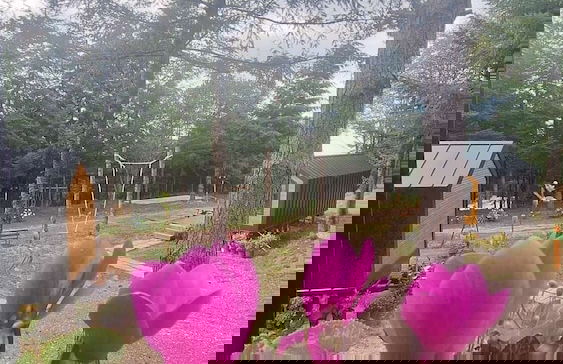 Tumba Sisli Vadi - Foto 77