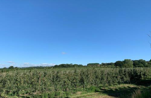 Blackberry Cottage - Photo 40