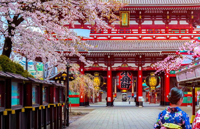 Private Tour of Tokyo - Photo 2