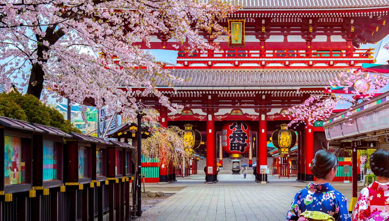 Tour privato di Tokyo