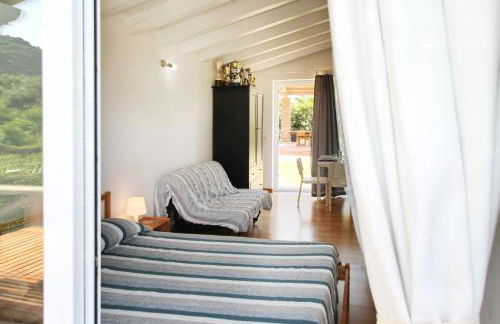 La Gabbianella E Il Gatto - Foto 11