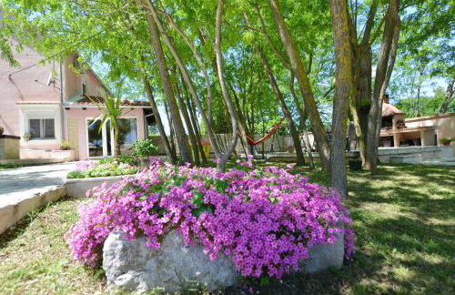 Vila Green Oasis Miro - Foto 53