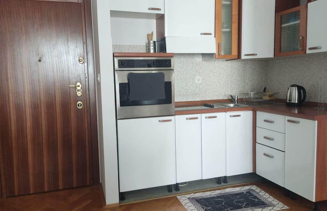 Immaculate Apartment in Center City With Parking - Photo 4