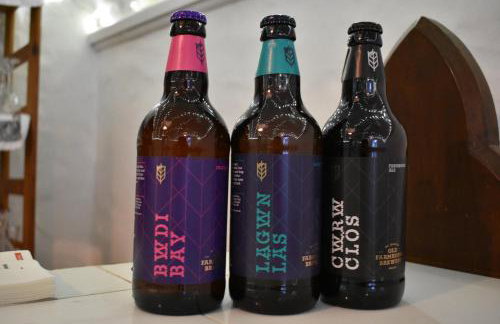 Crug Glas Country House - Foto 66