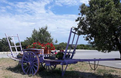 Studio Appart Verdon - Foto 18