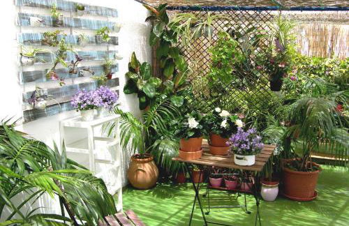 Apartamentos Calypso - Foto 11