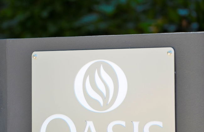 The Oasis Apartments - Photo 2