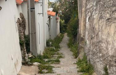 L'orchidea del faro - Foto 37