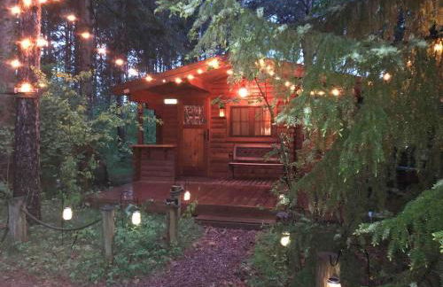 Fancy Fireflies Cabin - Foto 1