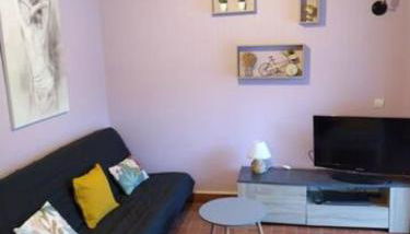 Charmant petit T2 au bord de l'Allier - Foto 2