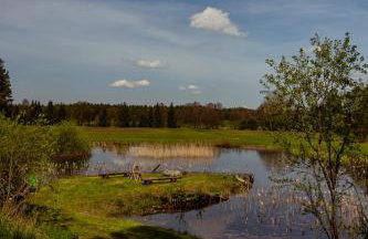 Kłodnia 1 - Foto 30