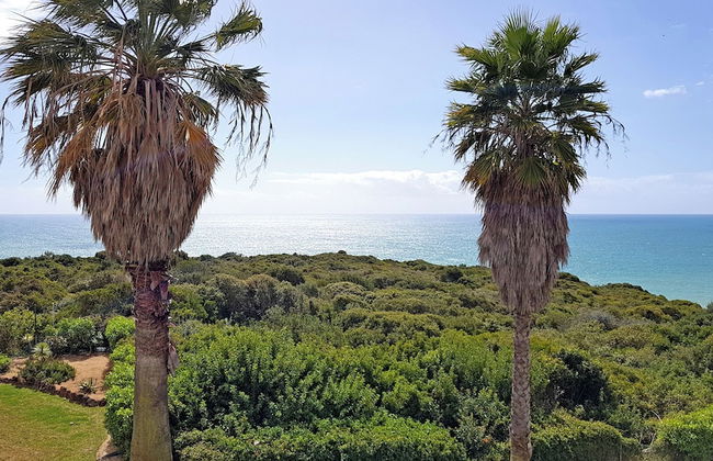 Pestana Palm Gardens - Foto 34