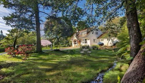 Daweswood Guest Suite - Luxury retreat with optional hot tub - Foto 3, Garden, Garden view