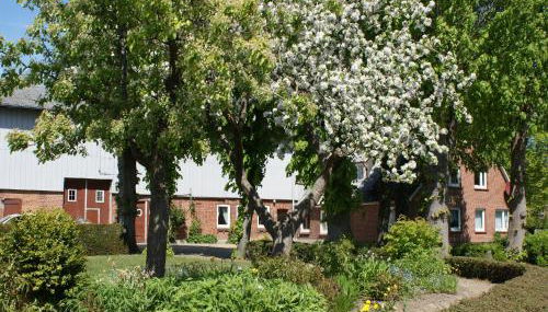 Ferienhof Schulz - Foto 3, Garden
