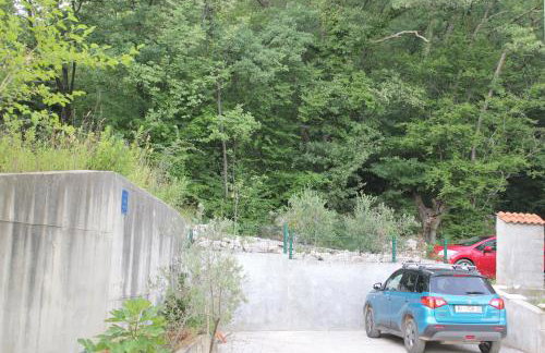 Primavera - Photo 75