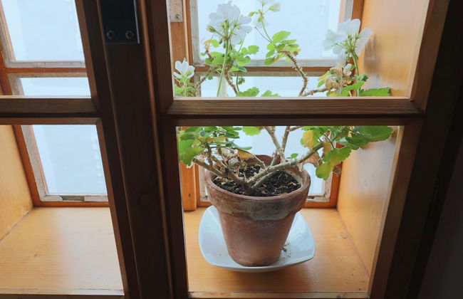 Apartment Soukenická 44 - Foto 25