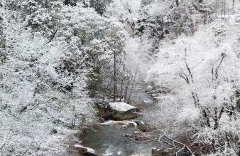 Spacious Cozy and Renovated Mountain Retreat - Foto 61