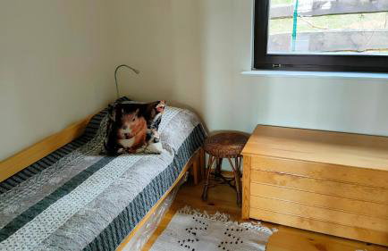 Domek letniskowy "Wiewiórka" - Foto 17